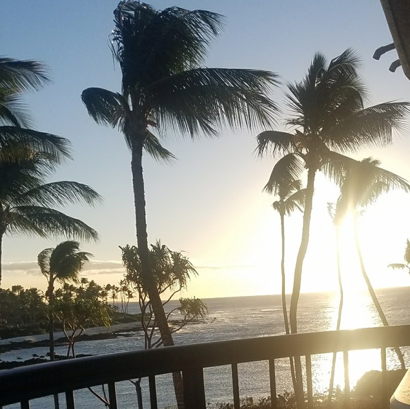 rootedinreselling.com  New Blog & Website!😄❤TY! - Picture 9 of 9